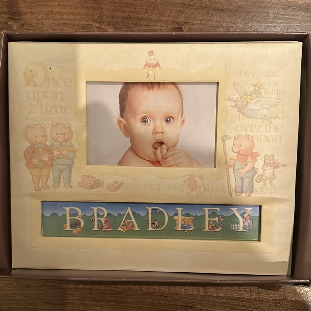 Baby photo album